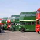 Buses