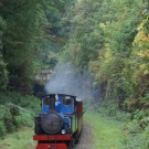 Hawk leaves Shelley Woodhouse Tunnel.