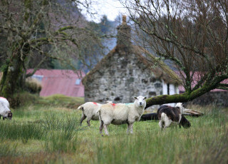 AUCHINDRAIN-14.11.15_0385_.jpg