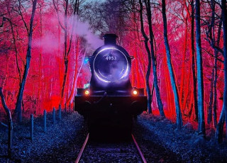 Lights_Express_Train.jpg
