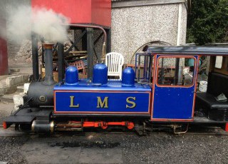Victoria-_LMS.jpg