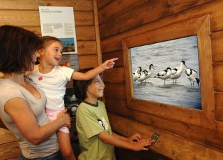 bird_hide_smaller.jpg