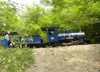 exbury.jpg