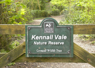 Entrance to Reserve