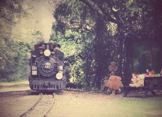 steam-train-audley-end-miniature-railway-saffron-walden-essex.jpg