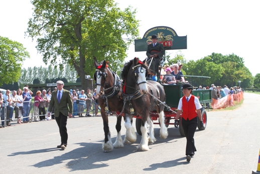 London Harness Horse Parade