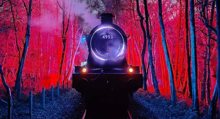 Lights Party Express