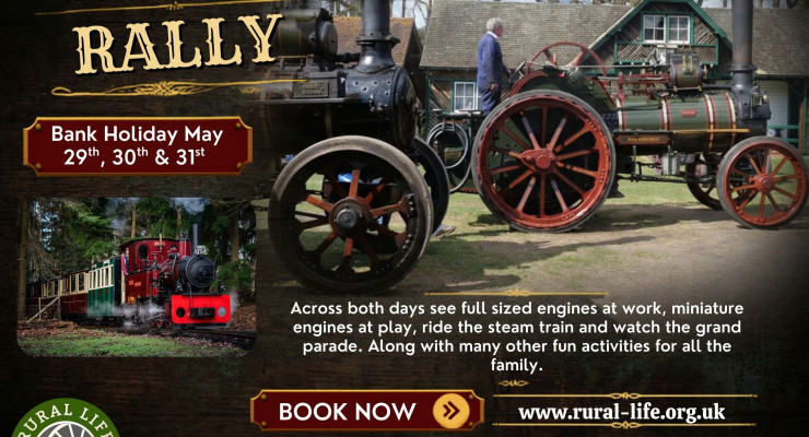 Steam Rally