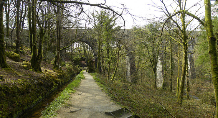 Luxulyan Valley 2026
