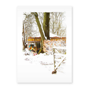 Greetings Cards