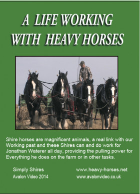 a-life-working-with-heavy-horses.jpg