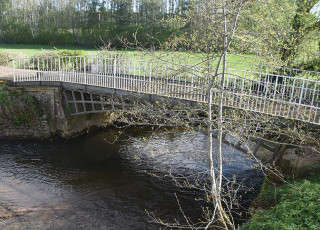 a-telford-survivor-cantlop.jpg