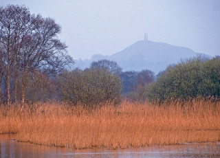 eastwards-to-avalon-glastonbury-canal.jpg