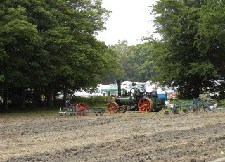 hollycombe-steam-festival-2025.jpg