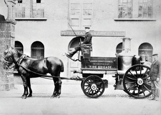 horses-pt2.jpg