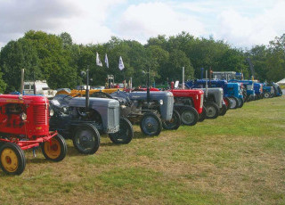 rural-show-returns-to-hatfield.jpg