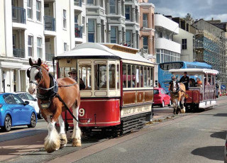 strolling-along-the-prom-for-150-years.jpg