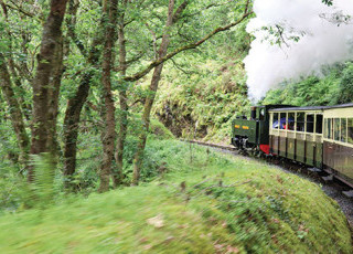 vale-of-rheidol-railway-2773.jpg
